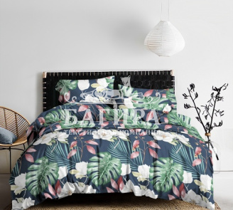 Констанция