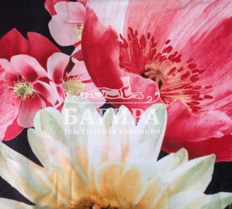 Милана вид 1