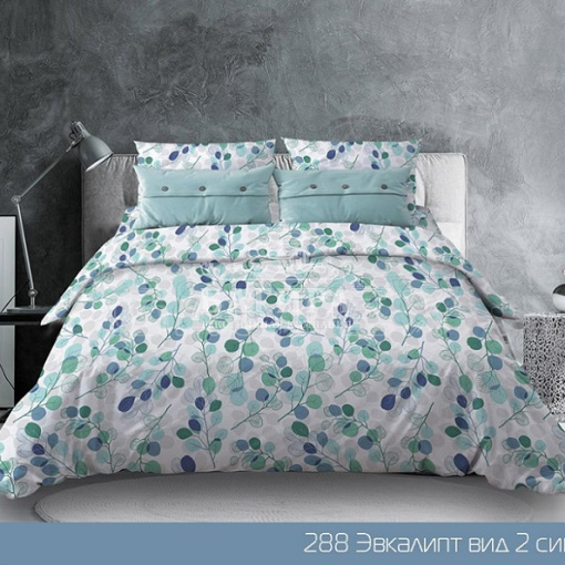 Эвкалипт синий