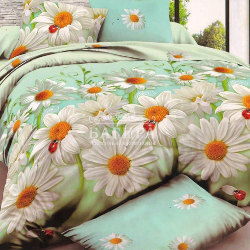 Белые ромашки вид 1