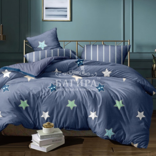 Звездная ночь вид 8