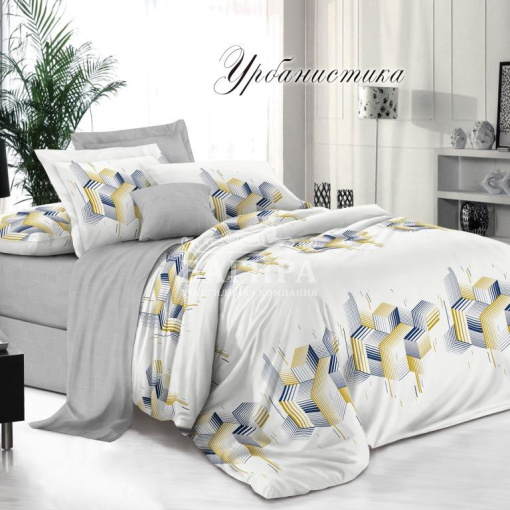 Урбанистика