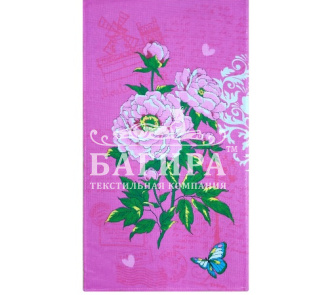 Розовый куст Розовый