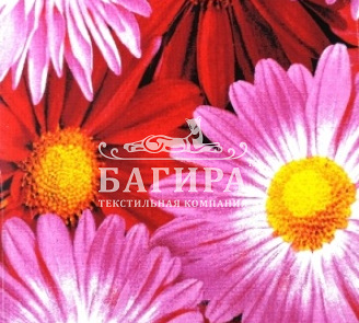 Маргаритки Розовый