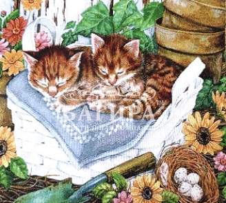 Котята в лукошке