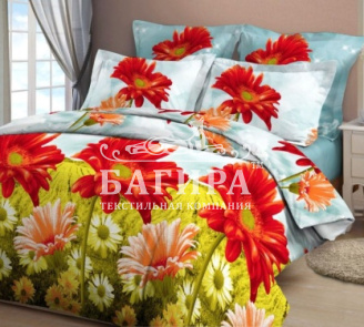 Русское поле вид 1