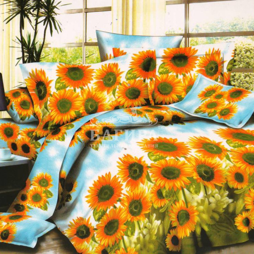 Подсолнух  вид 2