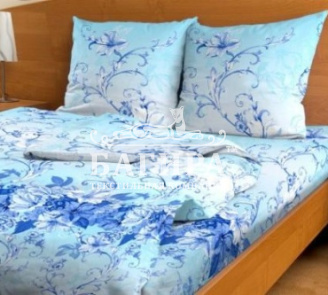 Моцарт вид 1