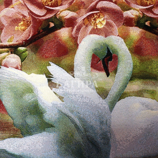 Пара лебедей