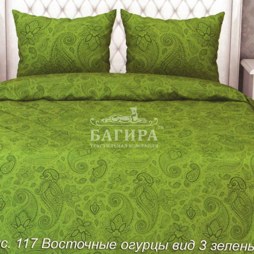 Восточные огурцы вид 3 зеленый