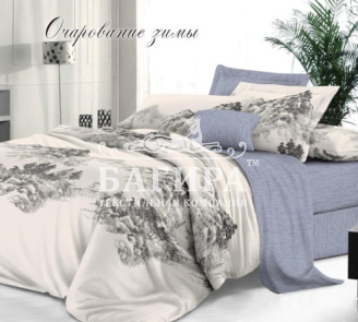 Очарование зимы