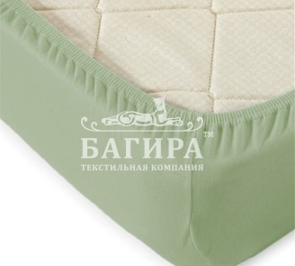 Болотный