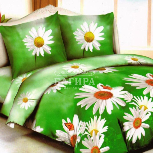 Ромашки 2 вид 1