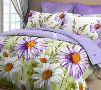 Коллекционные герберы вид 1