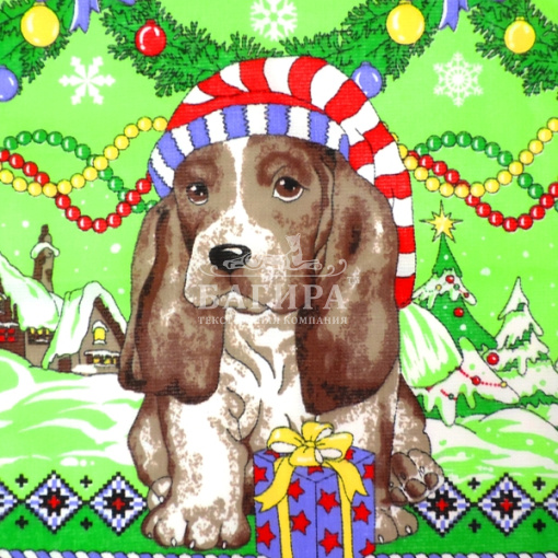 Долголетие