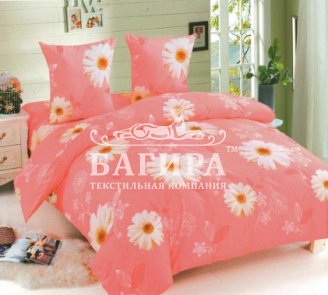 Ромашки на розовом