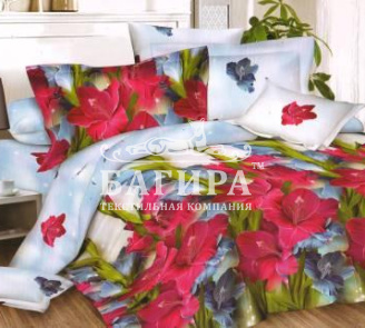 Гладиолусы