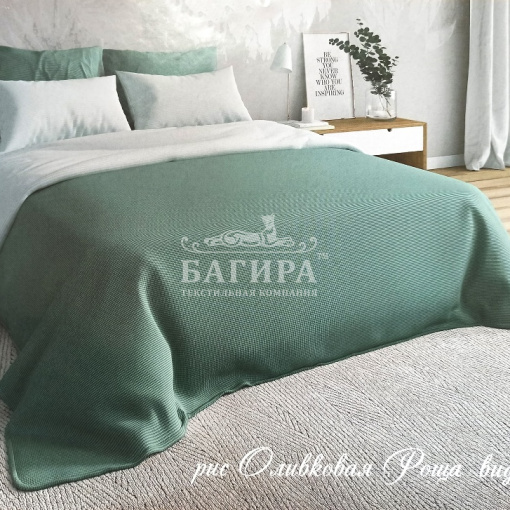 Оливковая роща вид 1