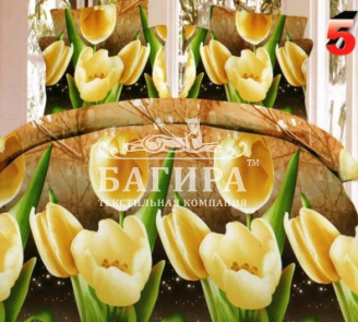 Желтые тюльпаны