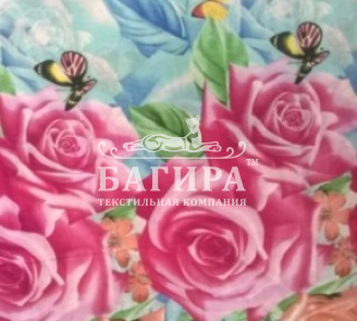 Летнее утро