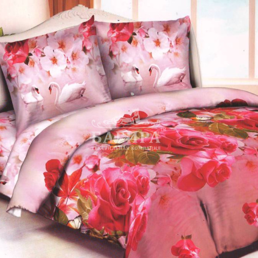 Пара лебедей 3