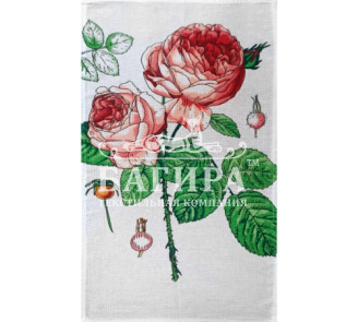 Роза