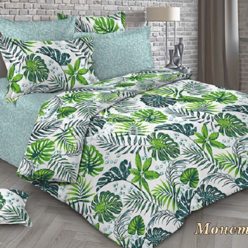 Монстера вид 2