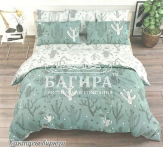 Кактусы бирюза