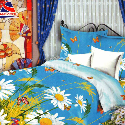 Ромашковое поле 2