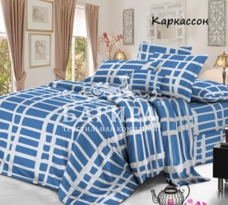 Каркассон вид 2