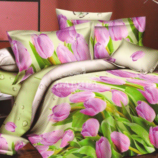 Сиреневый тюльпан