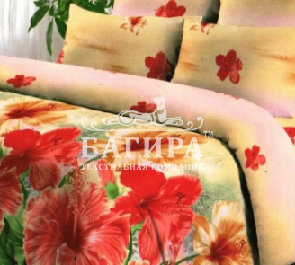 Цветы зимой