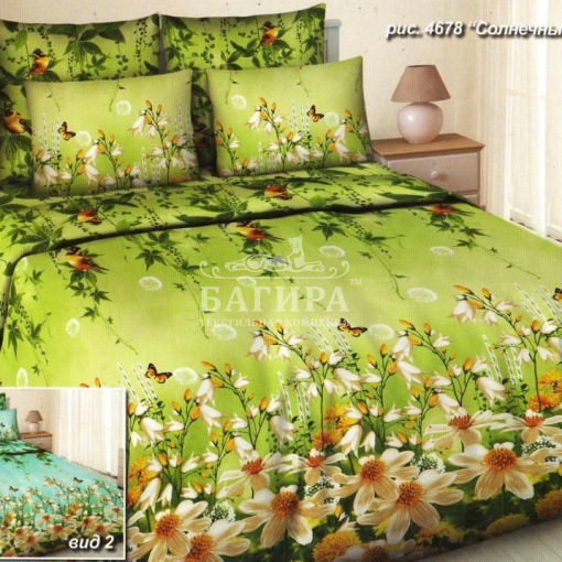 Солнечный день вид 2