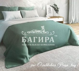 Оливковая роща вид 1