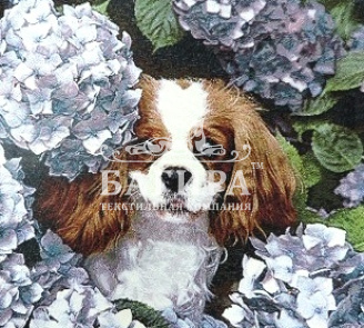 Верный друг