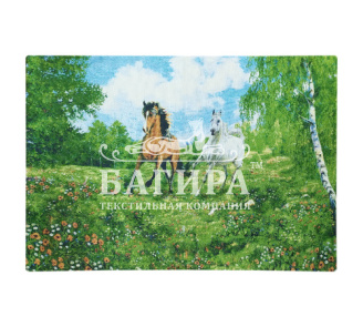 Дикие лошади