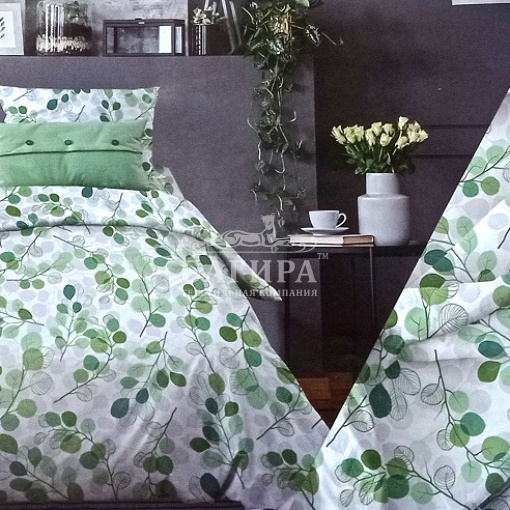 Эвкалипт вид 9/4 зелёный