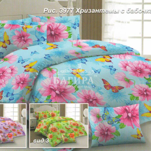 Хризантемы с бабочками вид 3