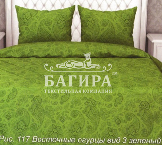 Восточные огурцы вид 3 зеленый