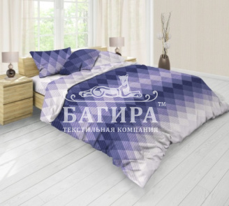 Голограмма вид 1