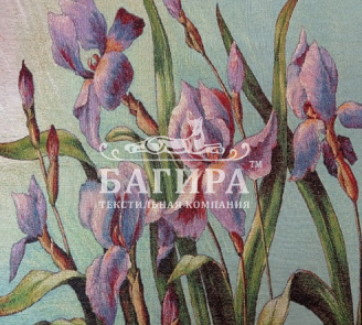 Ирисы