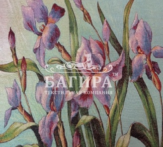Ирисы
