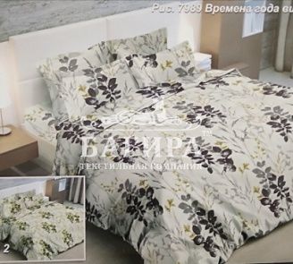 Времена года вид 1