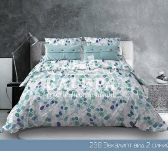 Эвкалипт синий