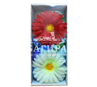 Любимый праздник Голубой