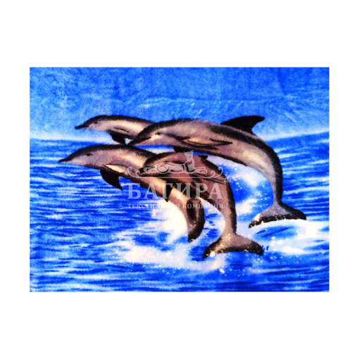 Дельфины
