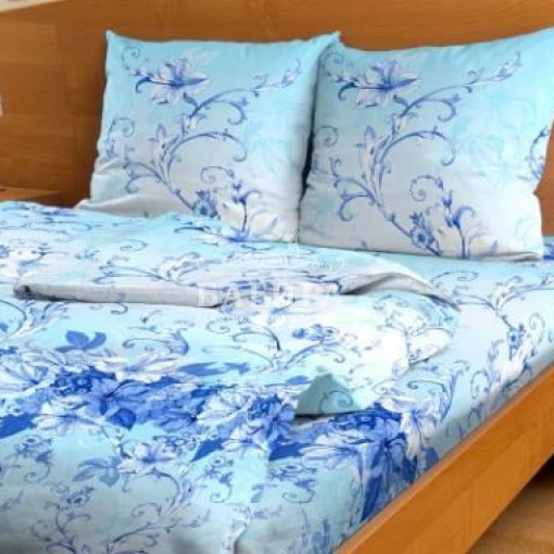 Моцарт вид 1