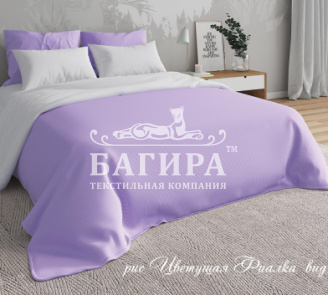 Цветущая фиалка вид 1