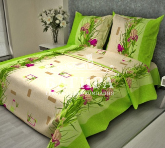 Ирисы (вид 2)