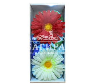 Любимый праздник Голубой